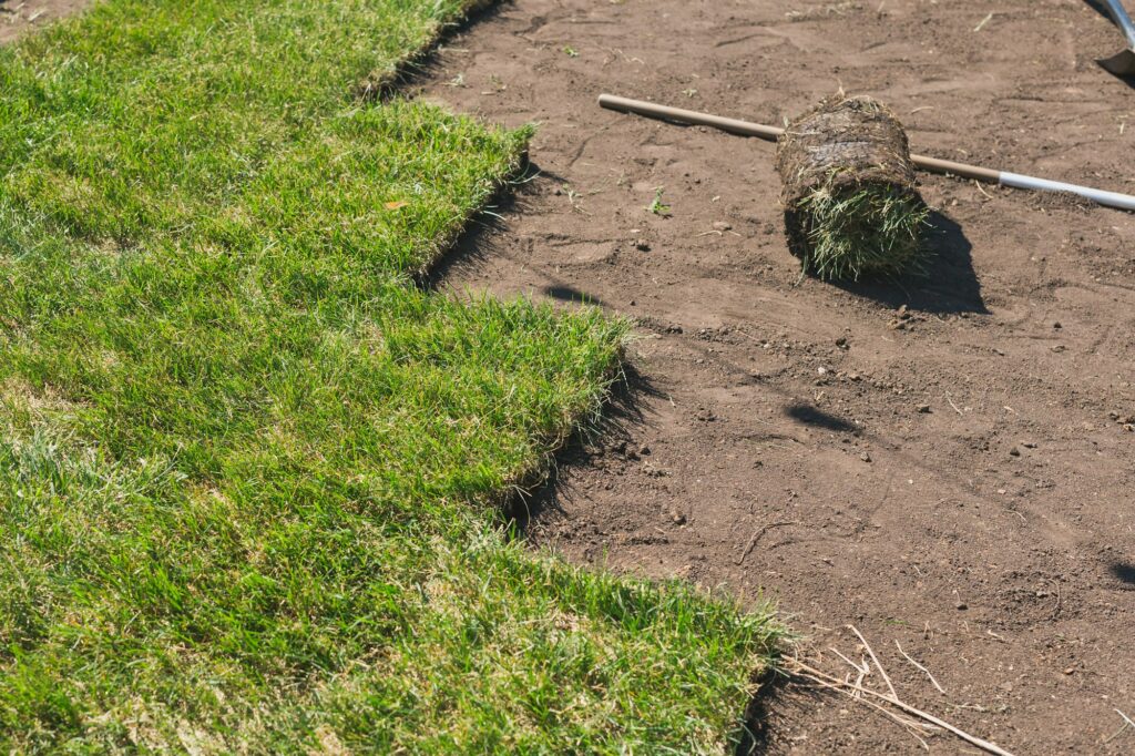 Beautiful green lawn after sod installation by Murphy's Sod in Crystal River, FL